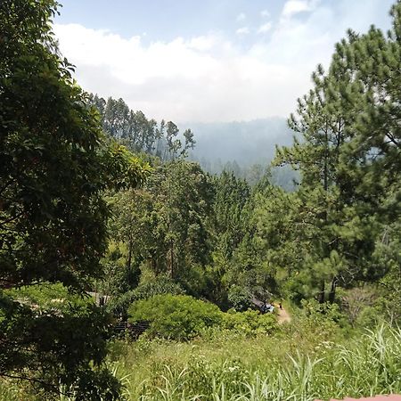 New Rose Villa Bandarawela Элла Экстерьер фото