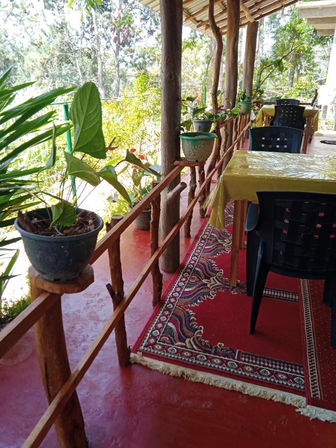 New Rose Villa Bandarawela Элла Экстерьер фото