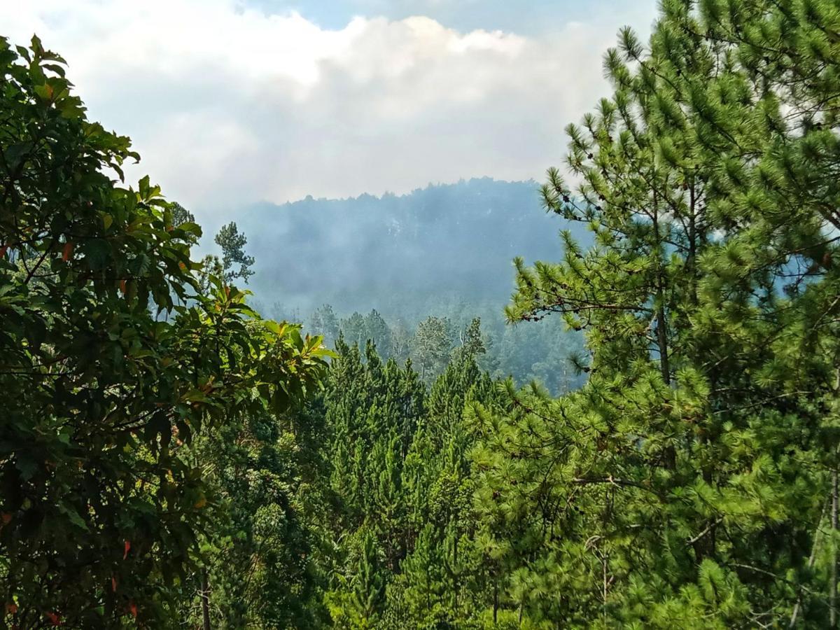 New Rose Villa Bandarawela Элла Экстерьер фото