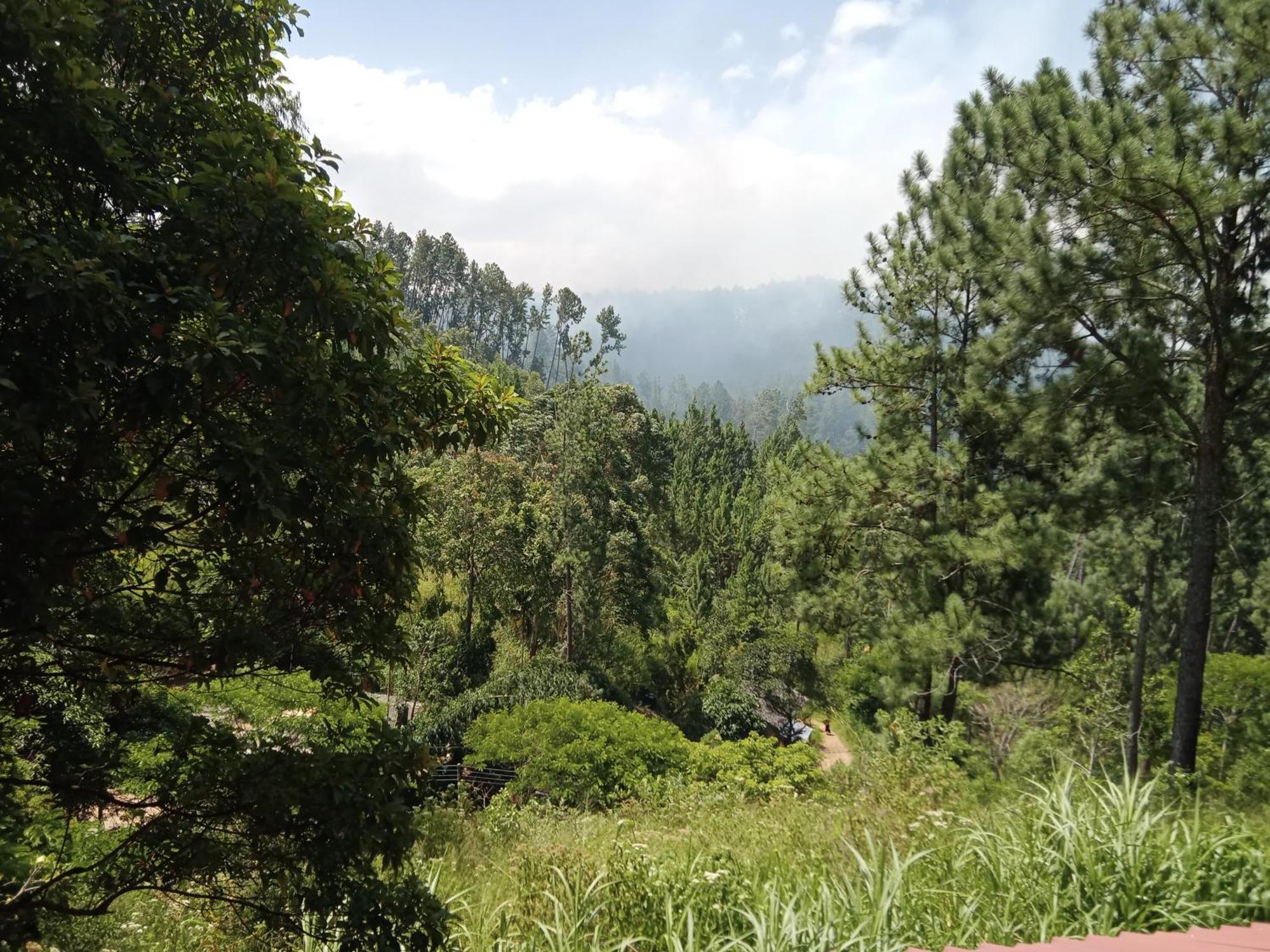 New Rose Villa Bandarawela Элла Экстерьер фото