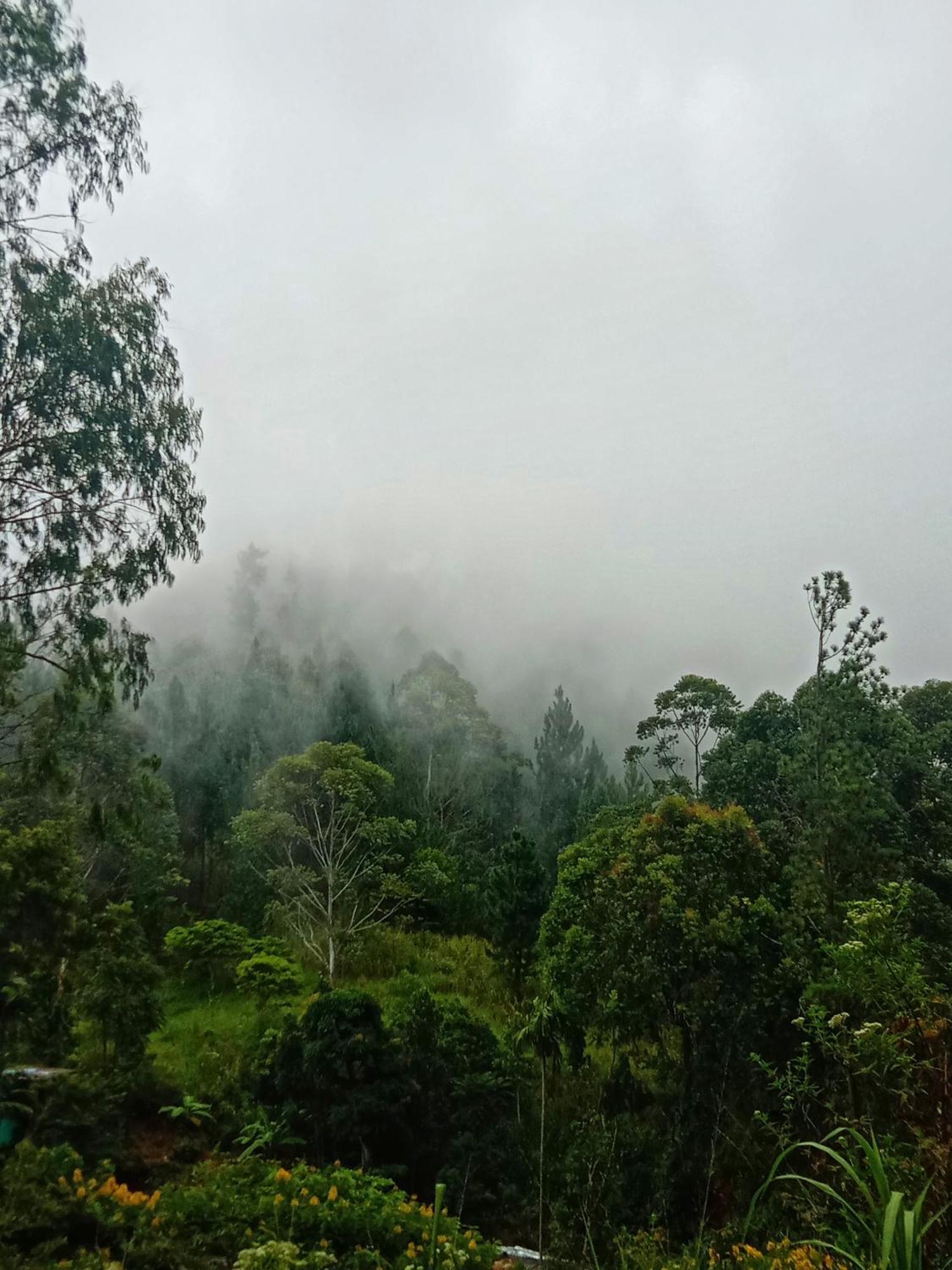 New Rose Villa Bandarawela Элла Экстерьер фото