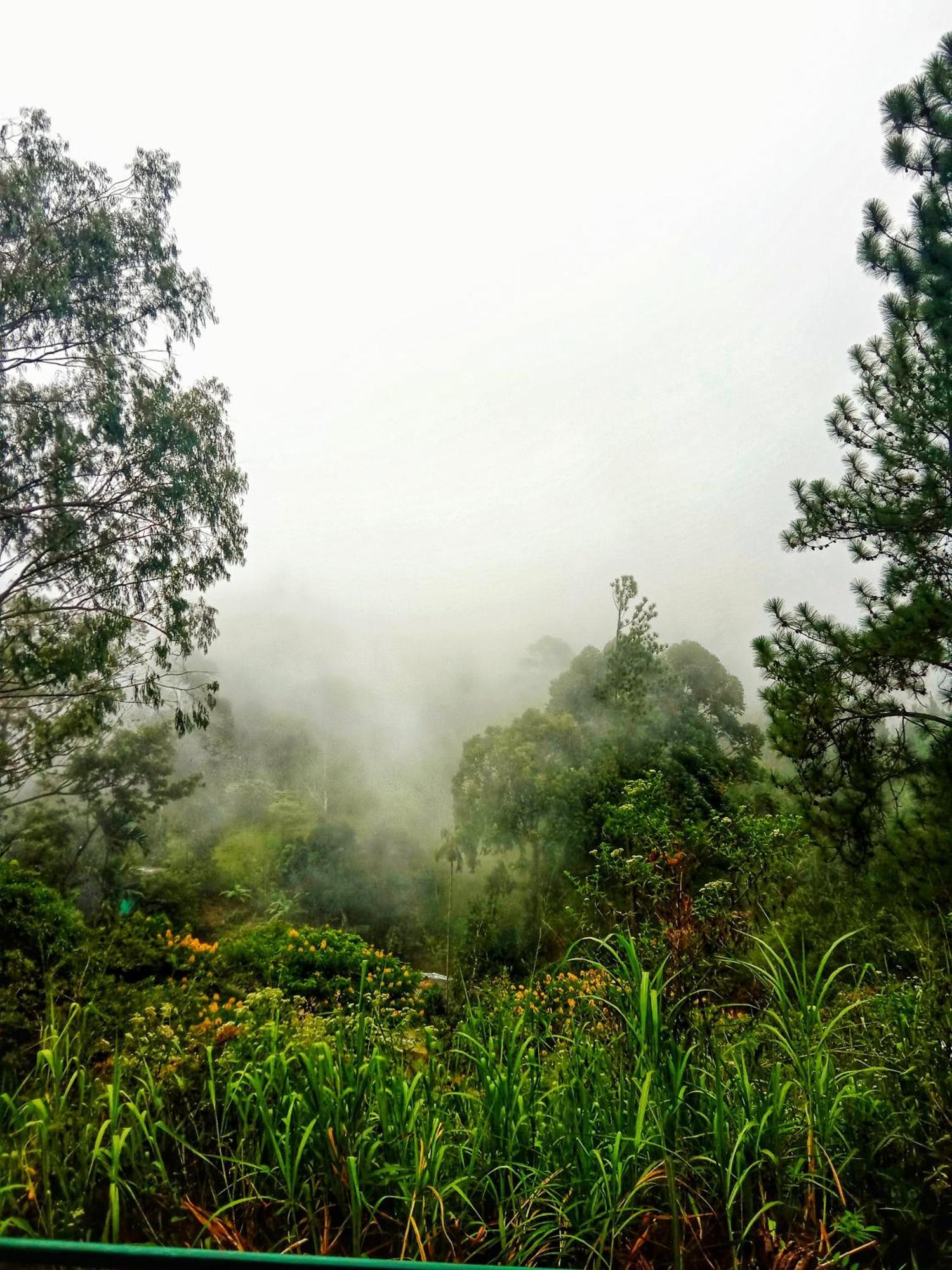 New Rose Villa Bandarawela Элла Экстерьер фото
