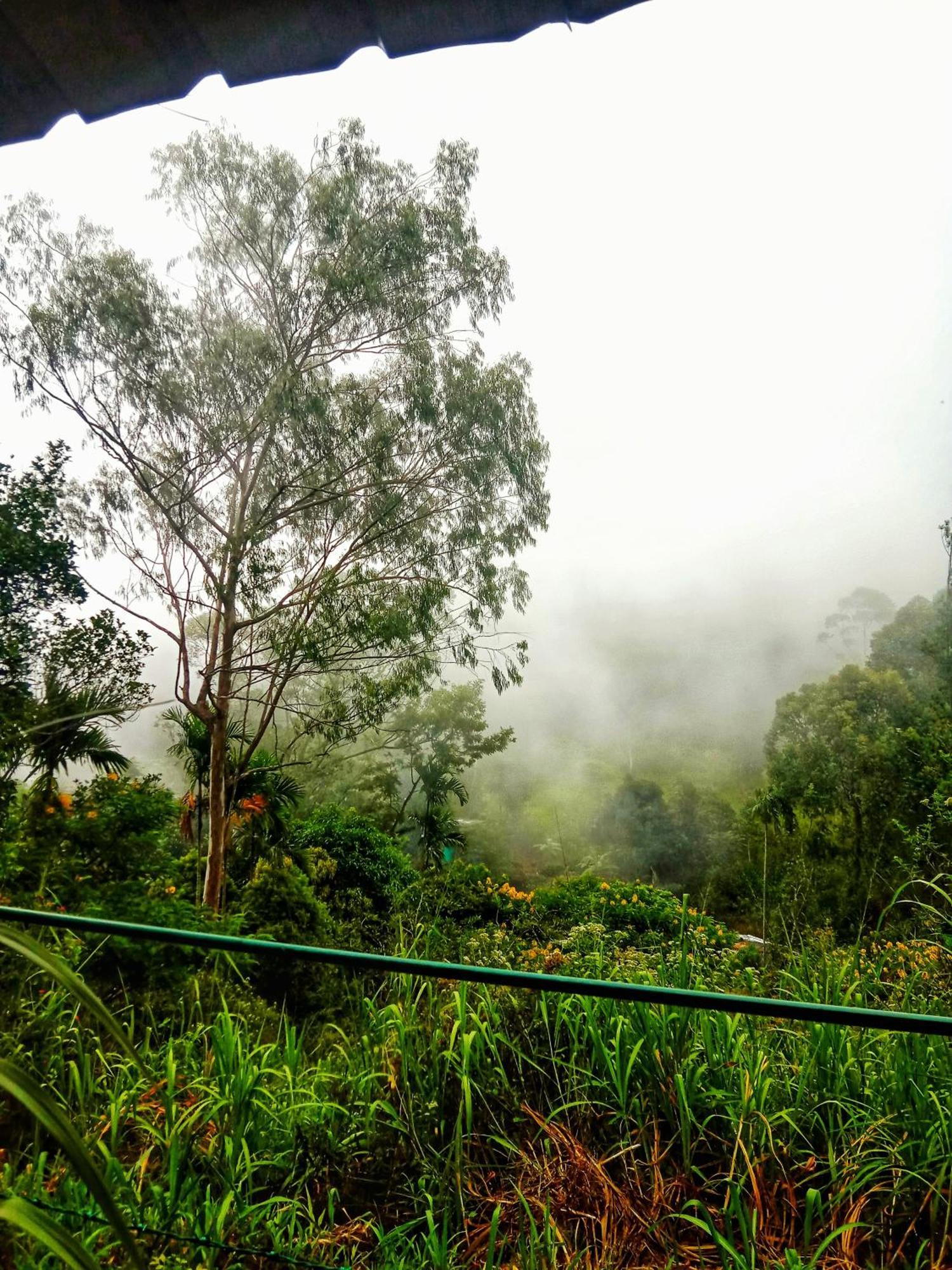 New Rose Villa Bandarawela Элла Экстерьер фото