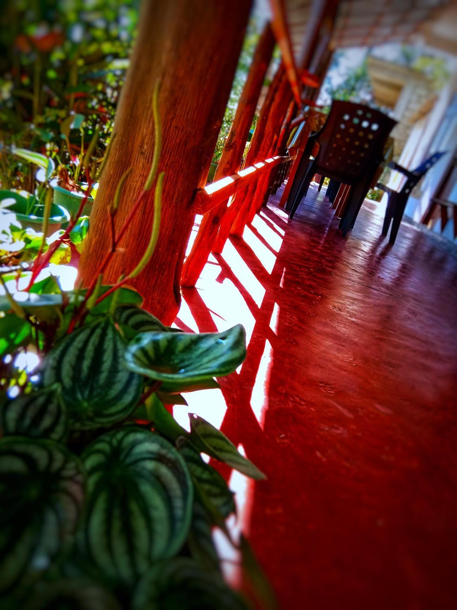 New Rose Villa Bandarawela Элла Экстерьер фото