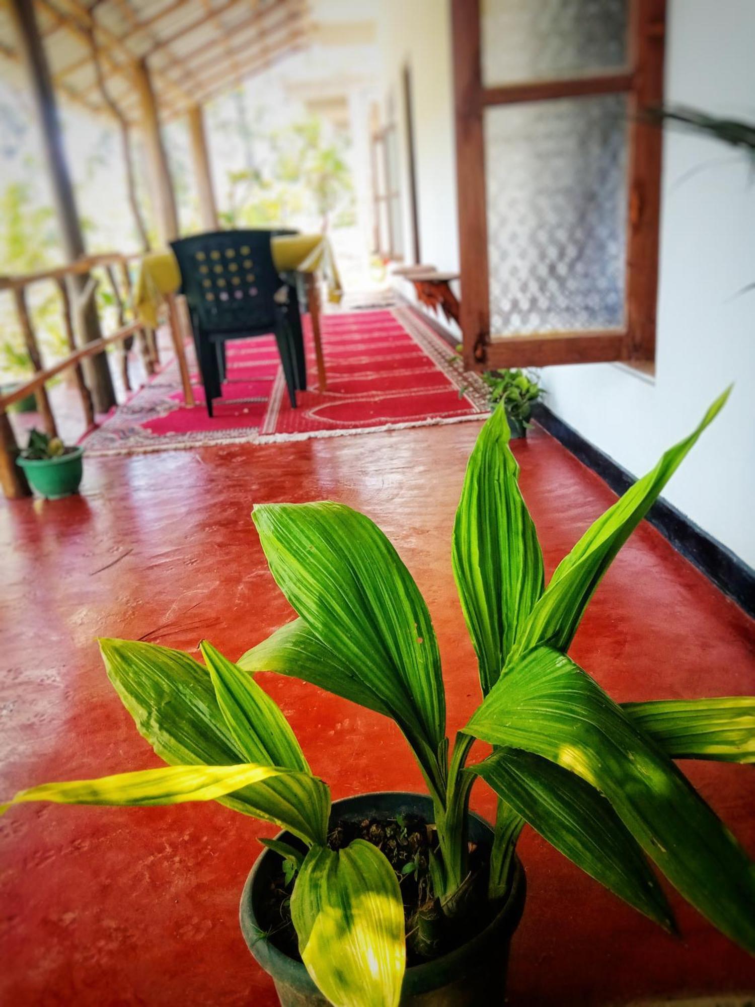 New Rose Villa Bandarawela Элла Экстерьер фото