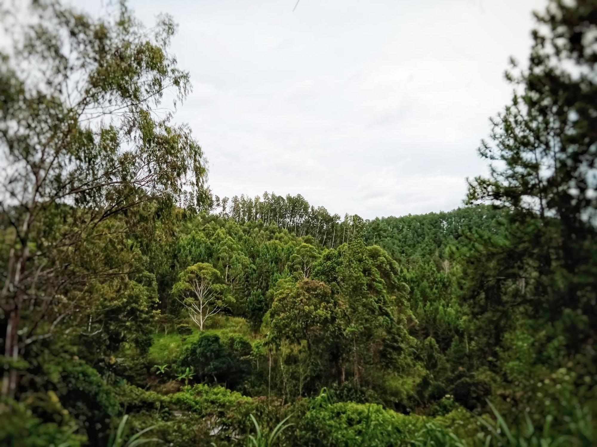 New Rose Villa Bandarawela Элла Экстерьер фото