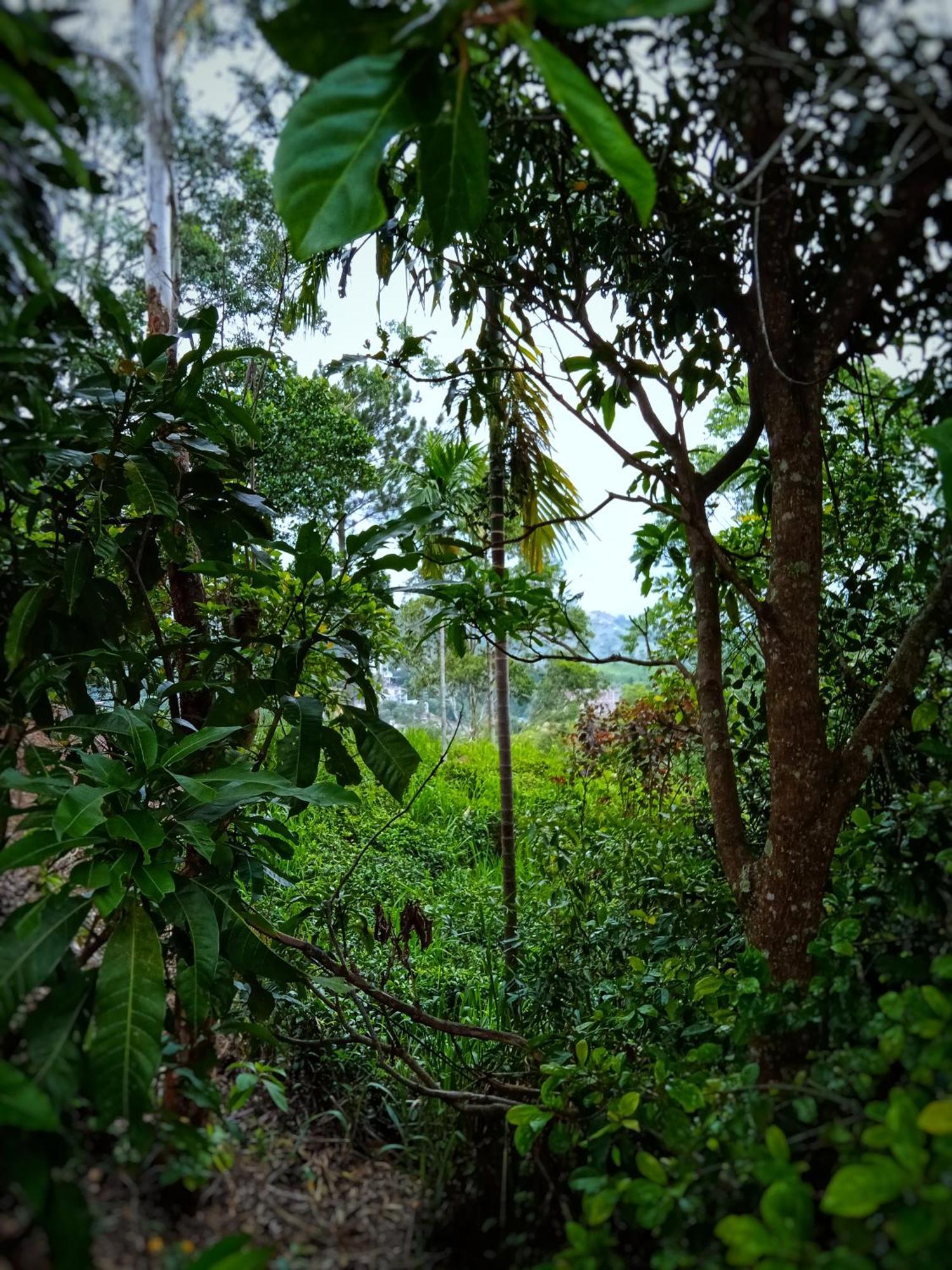 New Rose Villa Bandarawela Элла Экстерьер фото