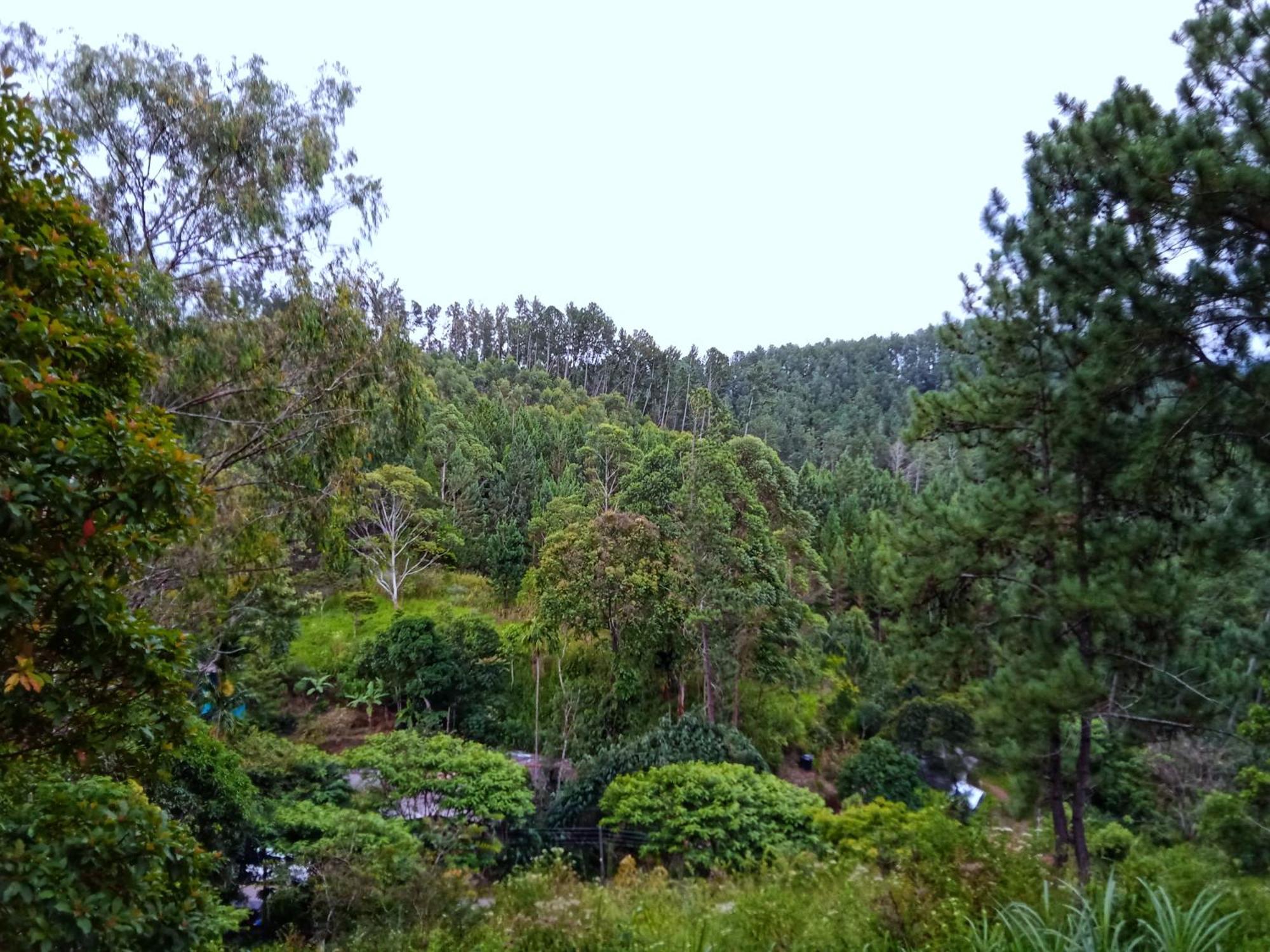 New Rose Villa Bandarawela Элла Экстерьер фото