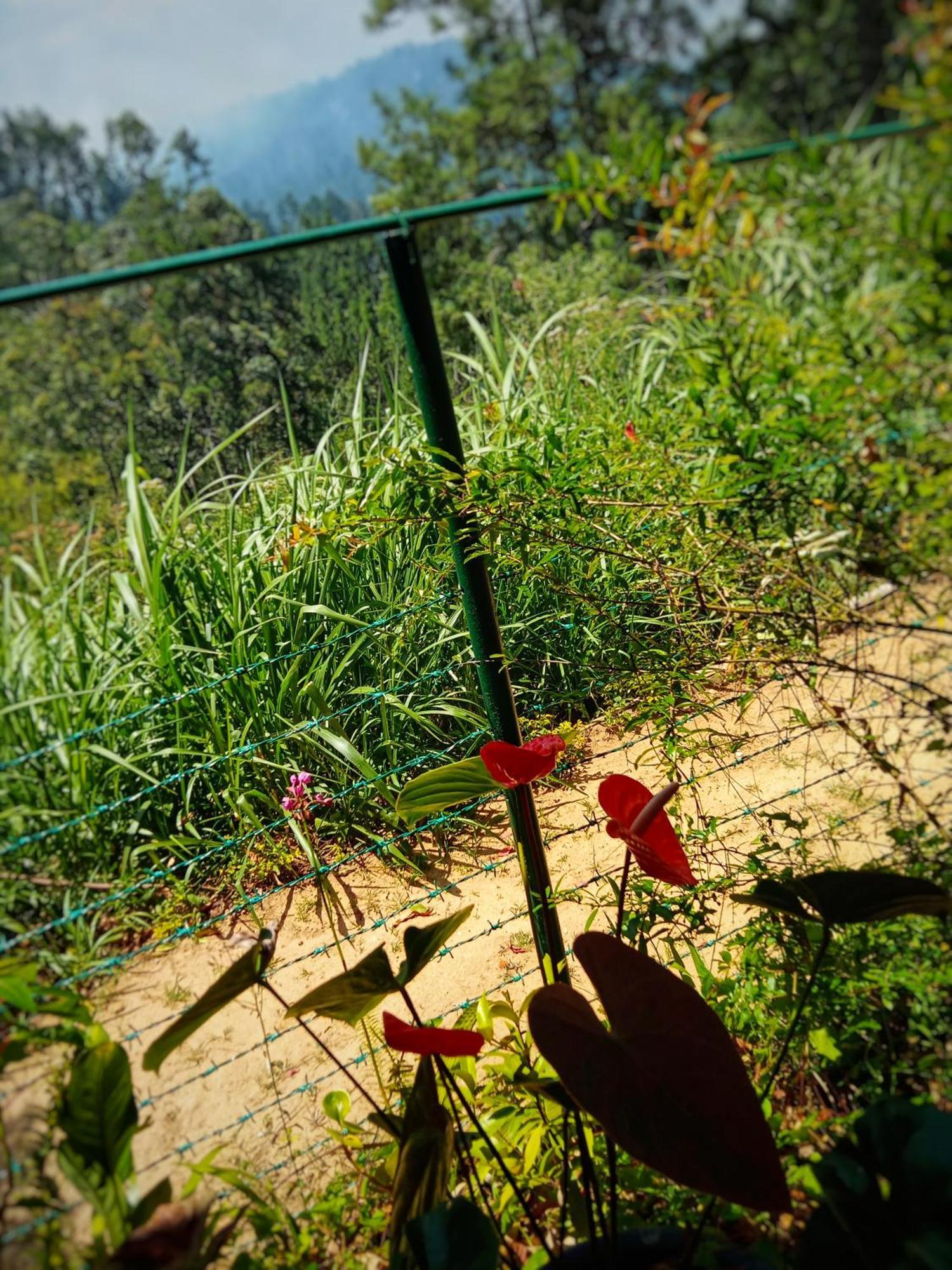 New Rose Villa Bandarawela Элла Экстерьер фото