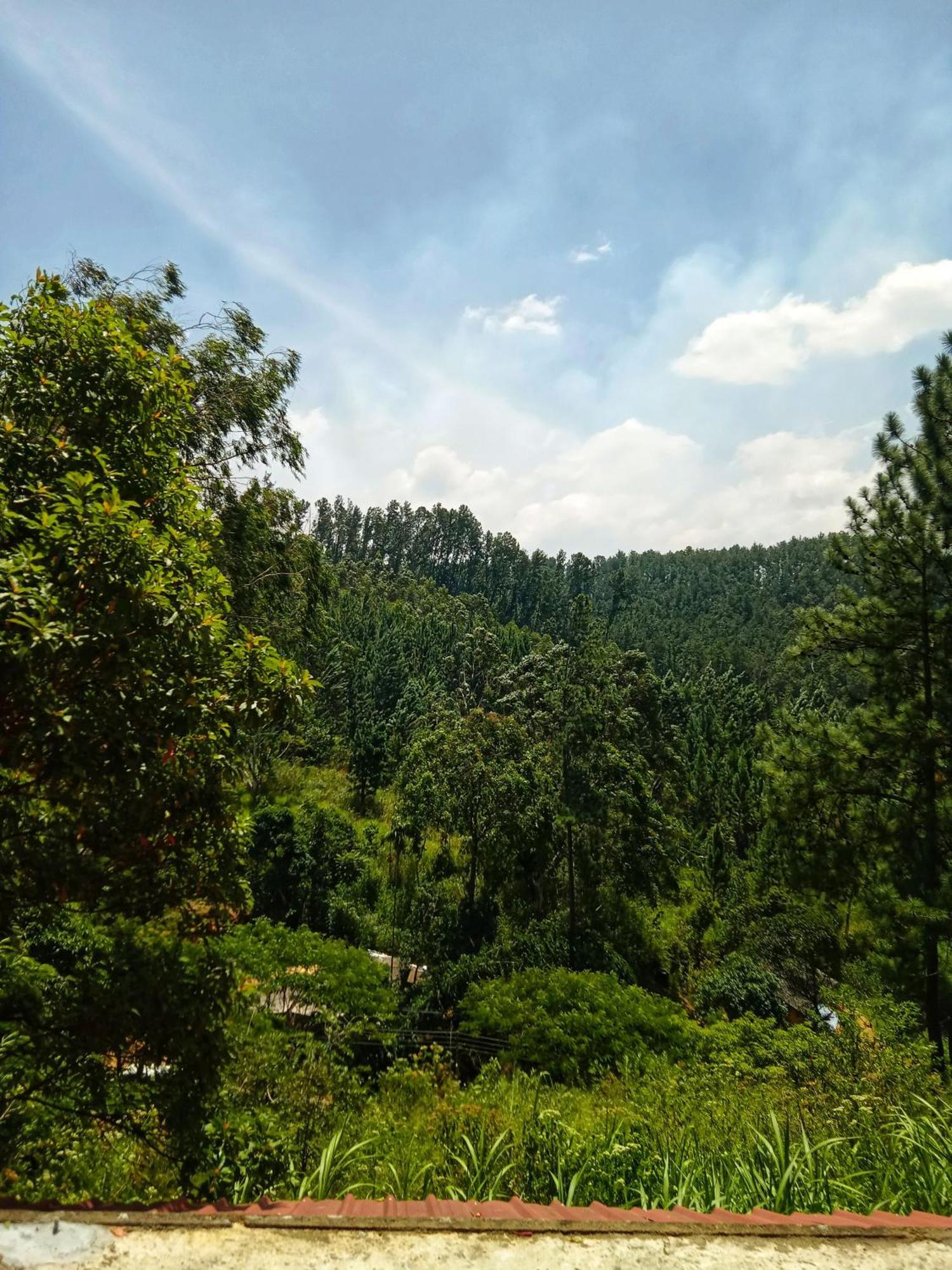 New Rose Villa Bandarawela Элла Экстерьер фото